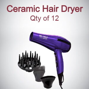 Ceramic Hair Dryer